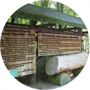 szeląg wielki rezerwat przyrody sosny taborskie