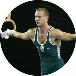 Szilveszter Csollány