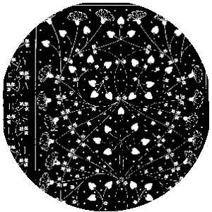 T. J. CobdenSanderson