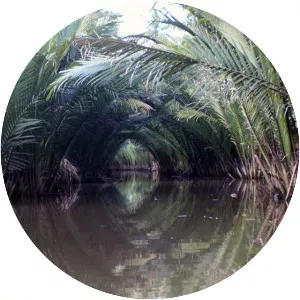 Ta Pi - River in Thailand