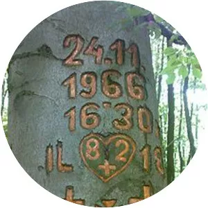 TABSO Flight 101 - Disaster