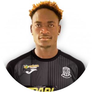 Taddeus Nkeng Fomakwang