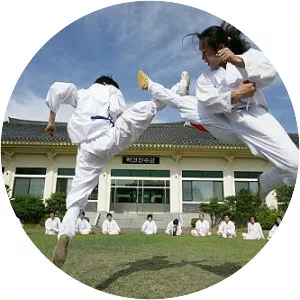 Taekkyeon