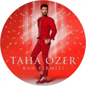 Taha Özer - Musical artist