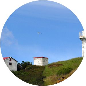 Taiaroa Head Lighthouse - 