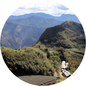 Taiwan: Land of Discovery