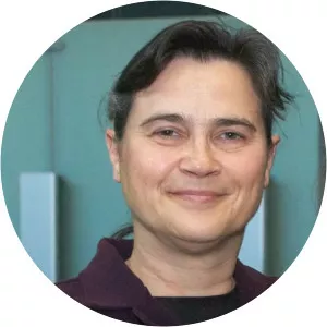 Tajana Rosing - Computer scientist