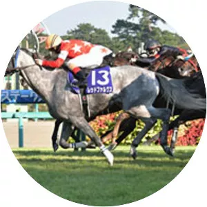 Takamatsunomiya Kinen - 