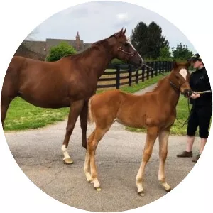 Take Charge Brandi - 