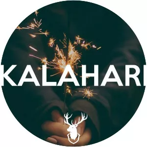 Take/Five & Curfew - Musical artist