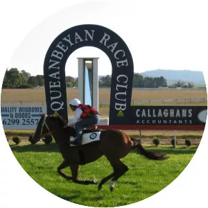 Takeover Target - Horse