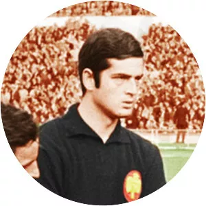 Takis Ikonomopoulos - Greek former football player