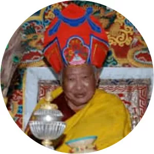 Taklung Tsetrul Rinpoche