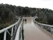 Taleghani Forest Park - 