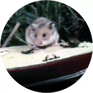 Tales of the Riverbank