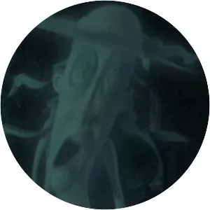 Tall Ghost Girl - Fictional character