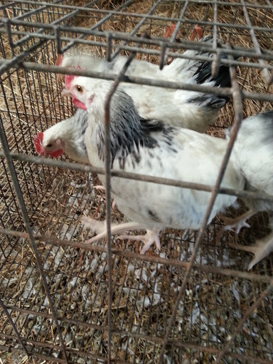 Talleres Hermanos Coello