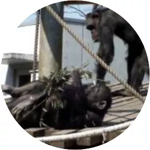 Tama Zoological Park