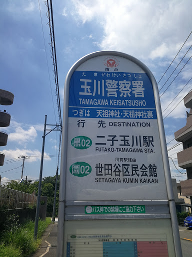 Tamagawa Keisatsusho