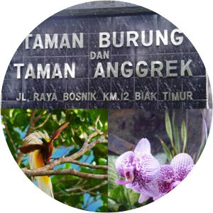 Taman burung dan taman anggrek Biak Numfor Regency - 