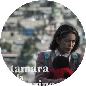 Tamara and the Ladybug