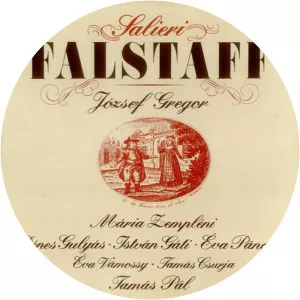 Tamás Csurja Musician