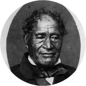 Tāmati Wāka Nene