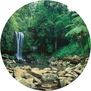 Tamborine Mountain