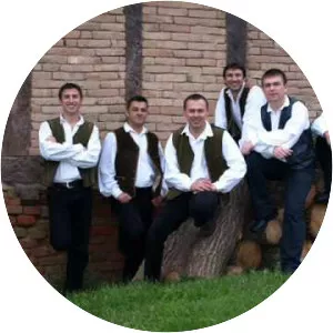 Tamburaški Sastav Satir - Musical artist