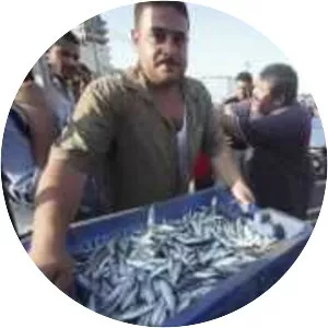 Tamer Ashry - Film producer