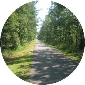 Tammany Trace Bike Trail - 