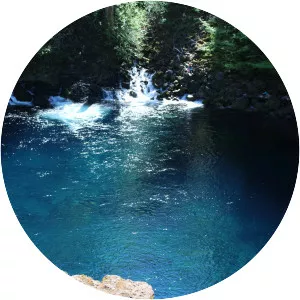 Tamolitch Falls - Waterfall in Oregon