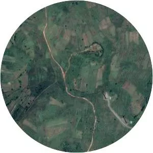 Tan-Sahsa Flight 414