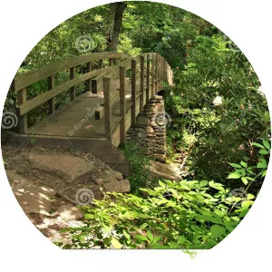 Tanawha Trail - 