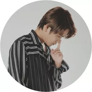 Tang Duy Tan - Musical artist