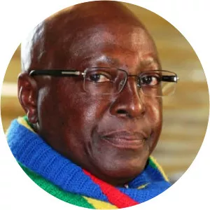 Tangeni Iiyambo - Politician