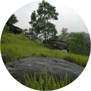 Tangkiling Hill Palangka Raya City