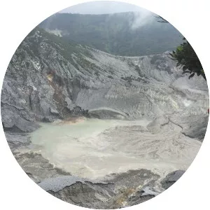 Tangkuban Perahu (Gunung Tangkuban Parahu)