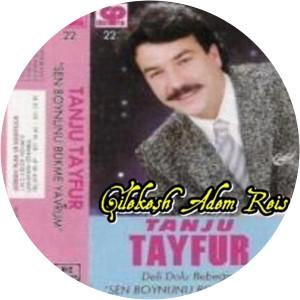 Tanju Tayfur - Musical artist