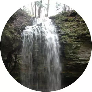 Tannery Falls