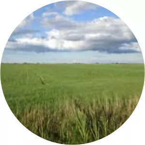 Tantramar Marshes - Tidal marsh