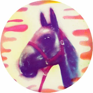 Tanz Mein Herz - Musical group