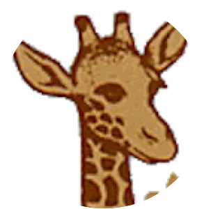 Tanzania Scouts Association