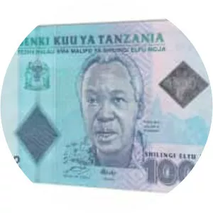 Tanzanian shilling