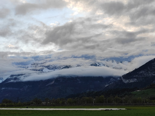 Tanzer Handels- und SpeditionsgesmbH - Freight forwarding service in Radfeld, Austria