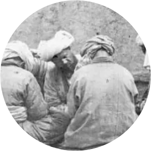 Taqi al-Din al-Subki