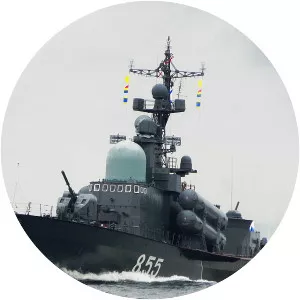 Tarantul-class corvette - Class of ship