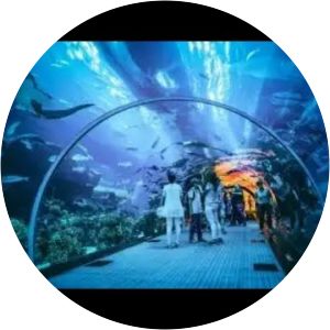 Taraporewala Aquarium - 
