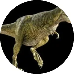 Tarbosaurus