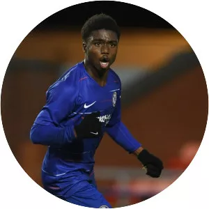 Tariq Lamptey - Ghanaian football player